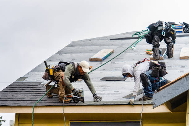 Professional Emergency Roof Repair technician working in Morristown, OH